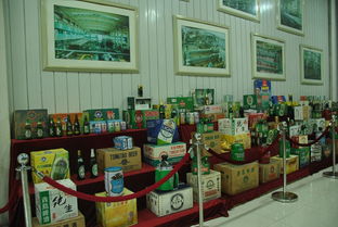 走进百年酒香 青岛啤酒厂的历史与工艺探秘